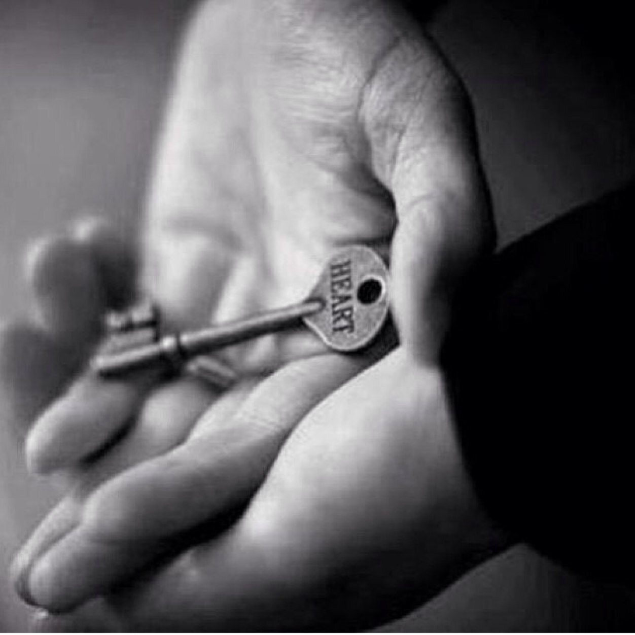 YarmKalanm's profile picture. 