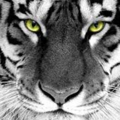 JohnAlphaMentor's profile picture. I am an Internet Entrepreneur that always strives to impact as many lives as I can.

Will you be my next student?