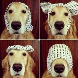 Theballoonmaker's profile picture. 