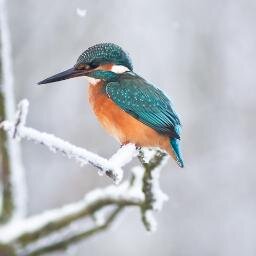 Dankfollow's profile picture. 