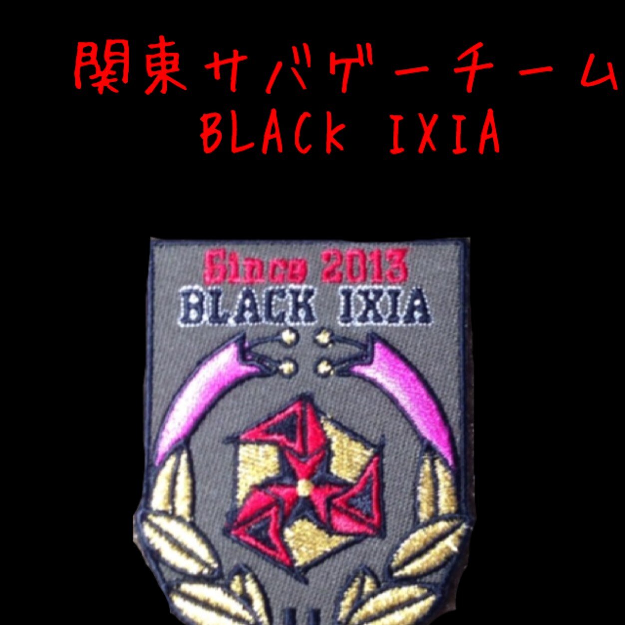 関東を拠点としている、サバイバルゲームチーム、ブラックイクシアのツイッターです。 まだまだ不慣れなチームですが、仲良くしていただけると幸いです。サバゲー関係、フォロバー100%です！