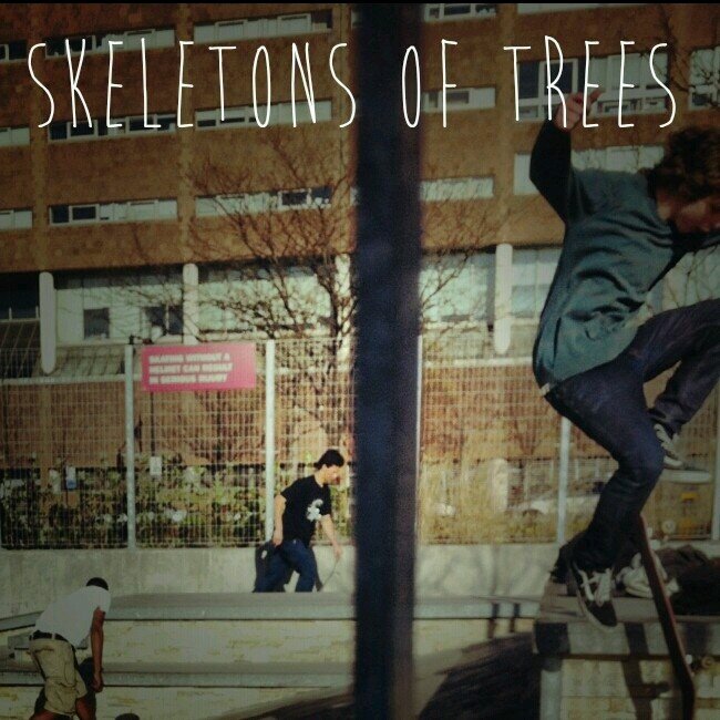 Skeletons Of Trees