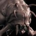 Stefan Groenewoud 🦦 (@3d_environment) Twitter profile photo Stefan Groenewoud 🦦 (@3d_environment) Twitter profile photo