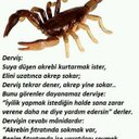 CİHAN KAYA (@06cihan07) Twitter