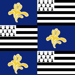 mdebremaecker's profile picture. 