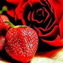 وردة الجنوب (@0021_don) Twitter