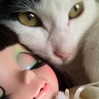 わんちゃん (@wankokun1) 's Twitter Profile