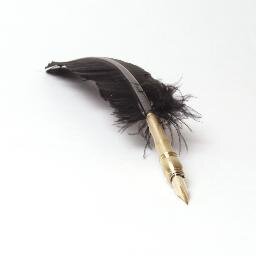 mehmetcelgin's profile picture. 