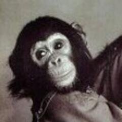 owenbabu's profile picture. バブルス君に似てると言われたことがあります。それからあだ名はバブ。おっさんになった今も同級生に会うとバブと言われて恥ずかしいです。