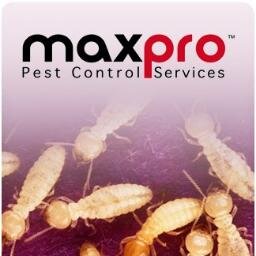 We,MaxPro Pest Controlhttp://maxpropes Services are pleased to introduce ourselves as the professional pest control Services provider based on Gurgoan,Delhi-Ncr