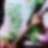 hikatatsu0718's profile image