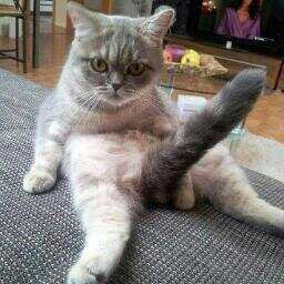 TiggerDeluxe's profile picture. how dare you, some of my best tweets are black