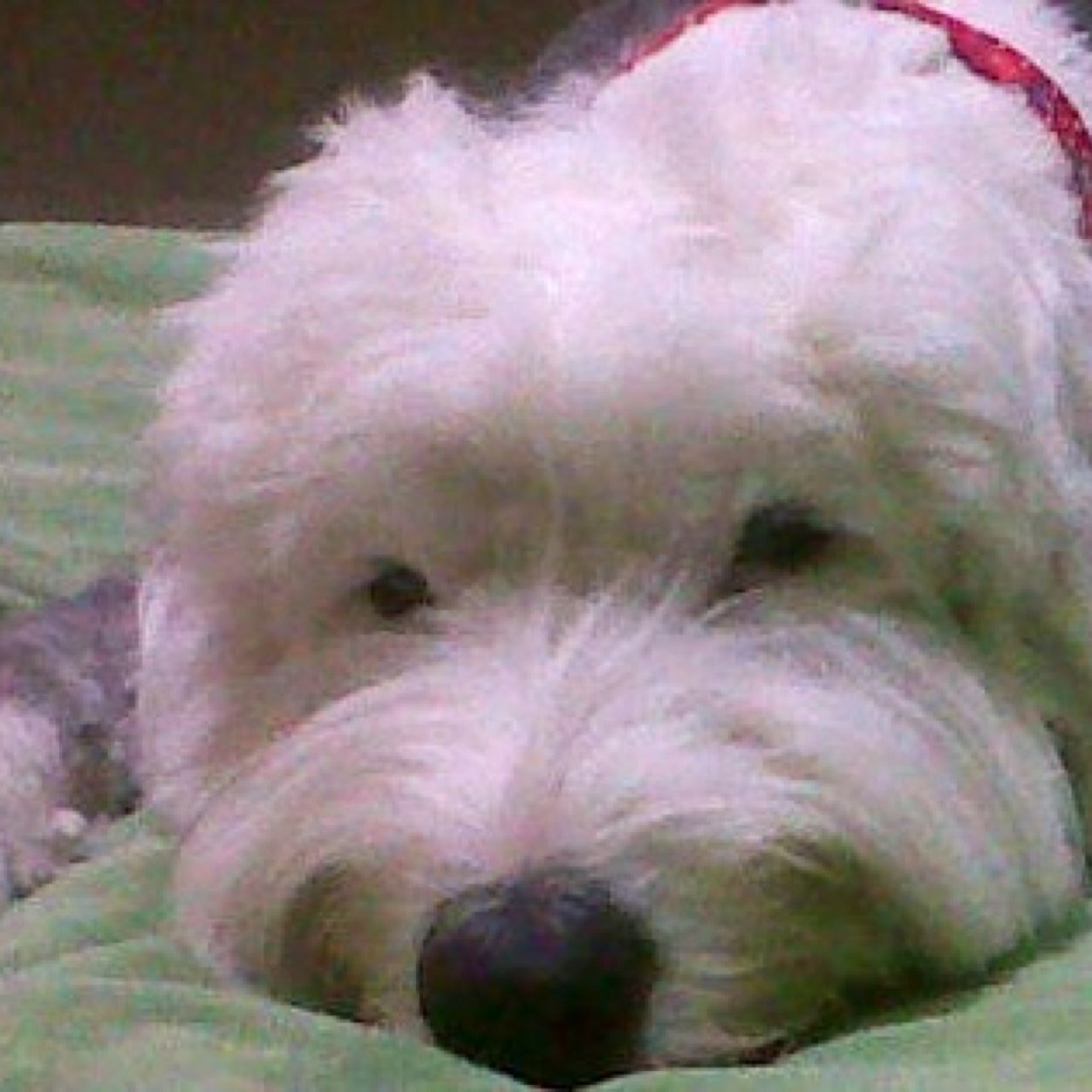 mfranco14's profile picture. analista de sistemas. especializado en software financiero, casado, con tres hermosos hijos, deportista y gusto de la tecnologia