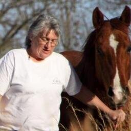 I love horses and living my life to the fullest. I'm a writer. Writing and Horses are not my hobbies they're my passion.