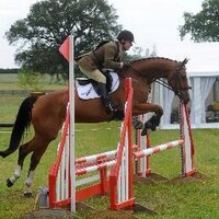 BrandHallHorseTrials (@brandhallht) 's Twitter Profile