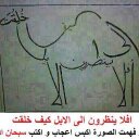 وحيد الشافعى (@01011211699) Twitter