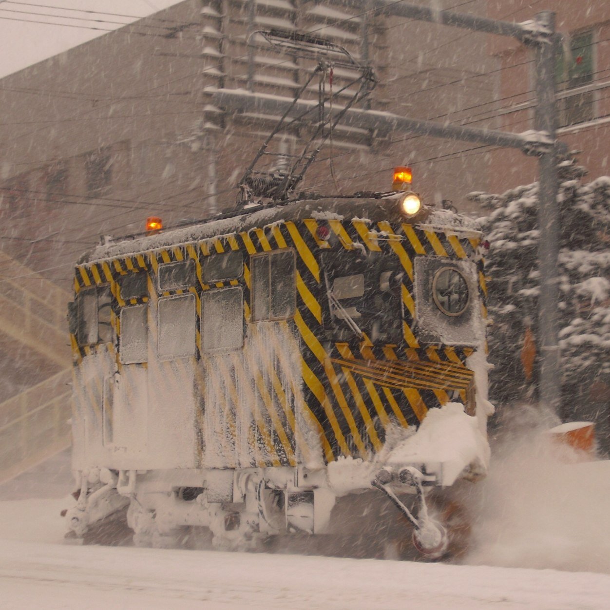 Nupuri_kiha183's profile picture. 2010-9/13~