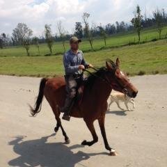 dennysnieto1's profile picture. 