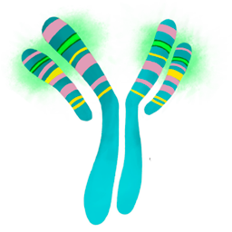 Immunogenicity1's profile picture. Your source for cutting edge developments in immunogenicity and tolerance