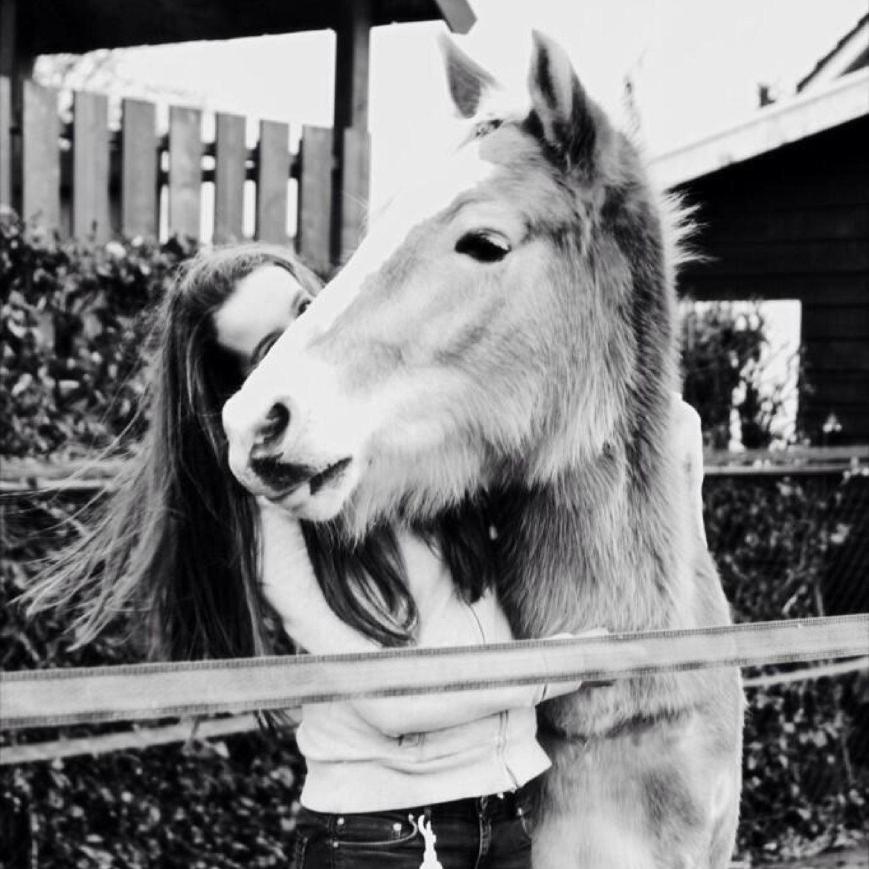 ❤ilovehorses❤wij houden van paarden❤zullen we dit gevoel voor paarden delen? zoja volg ons dan!❤
