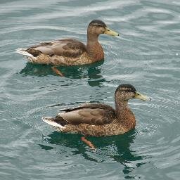 ClaireLCoombs's profile picture. Mother of 3 wonderful kids