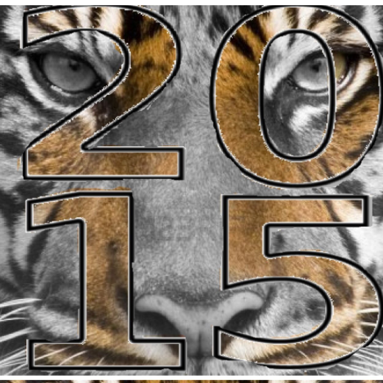 Loveland2015's profile picture. Any student at Loveland in the class of 2015 should follow for updates!