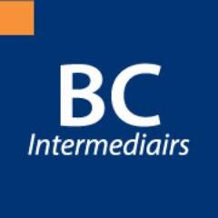 Bouw & Civiel Personeelsdiensten | BC Engineering |  BC Service | ZZP Collectief Nederland |
(project)detachering, werving & selectie en executive search