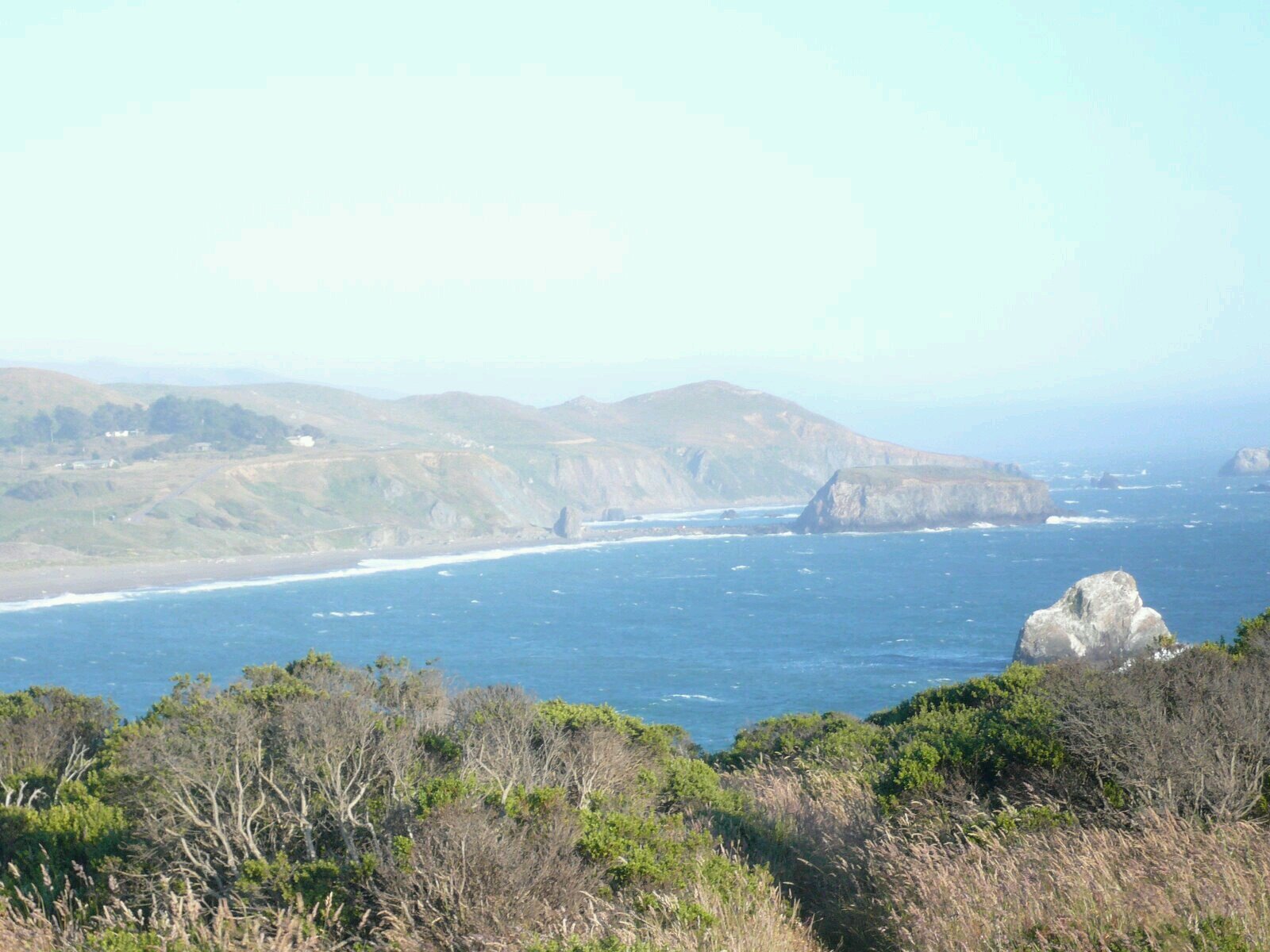 HeartsFree2010's profile picture. 