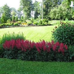 zemenkalni's profile picture. 