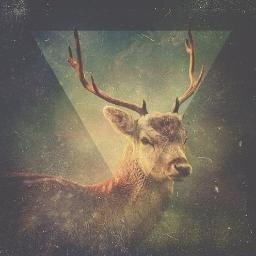 anya_shkapova's profile picture. 