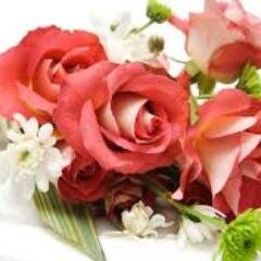 I_luv_internet's profile picture. Hi I'm Norhan !!! I'm a teenage Canadian girl who loves posting DIY ,makeup,cooking,movies,songs,and more videos on my YouTube playlist and wish you love it