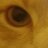 tutebohemio's profile image