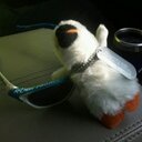 Michelle Main - @huskrhurdler - Twitter