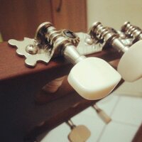 Darell paruntu (@darelparuntu) 's Twitter Profile