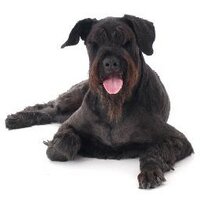 Paul Martin (@p_g_martin) 's Twitter Profile