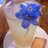 mkt_ticket's profile image