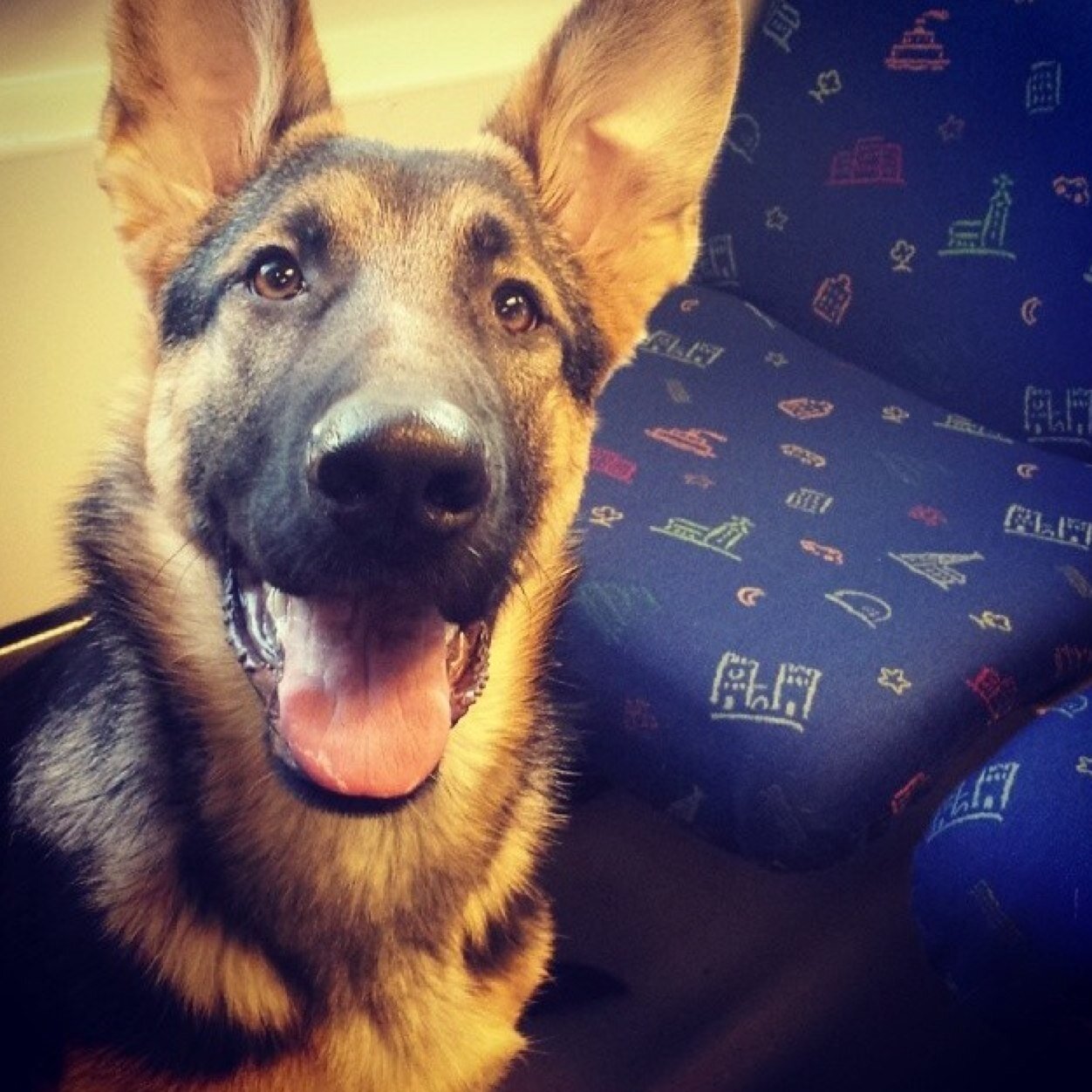 _AutomaticBody_'s profile picture. 