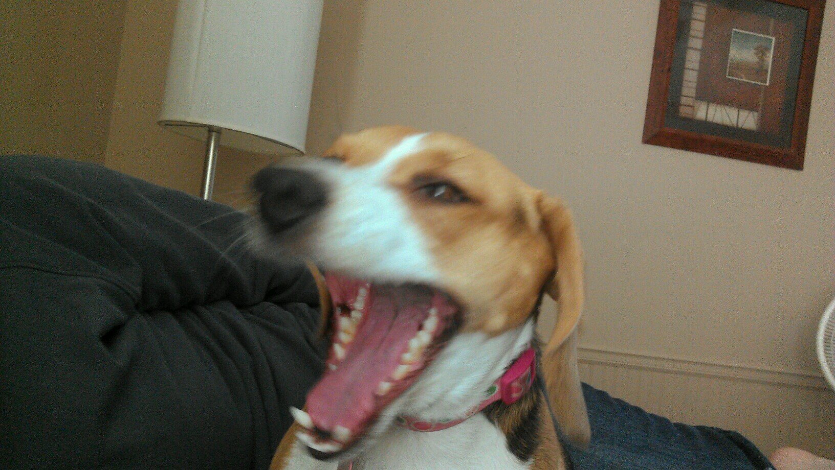 fattoes68's profile picture. 