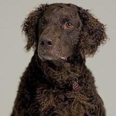 glickland's profile picture. 