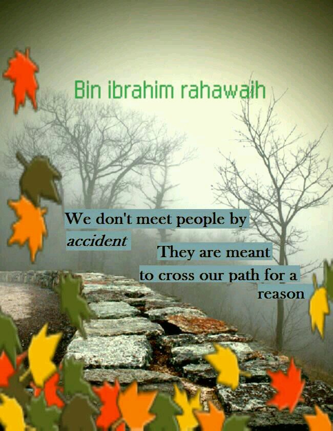 MOUALLIMEISSA's profile picture. 