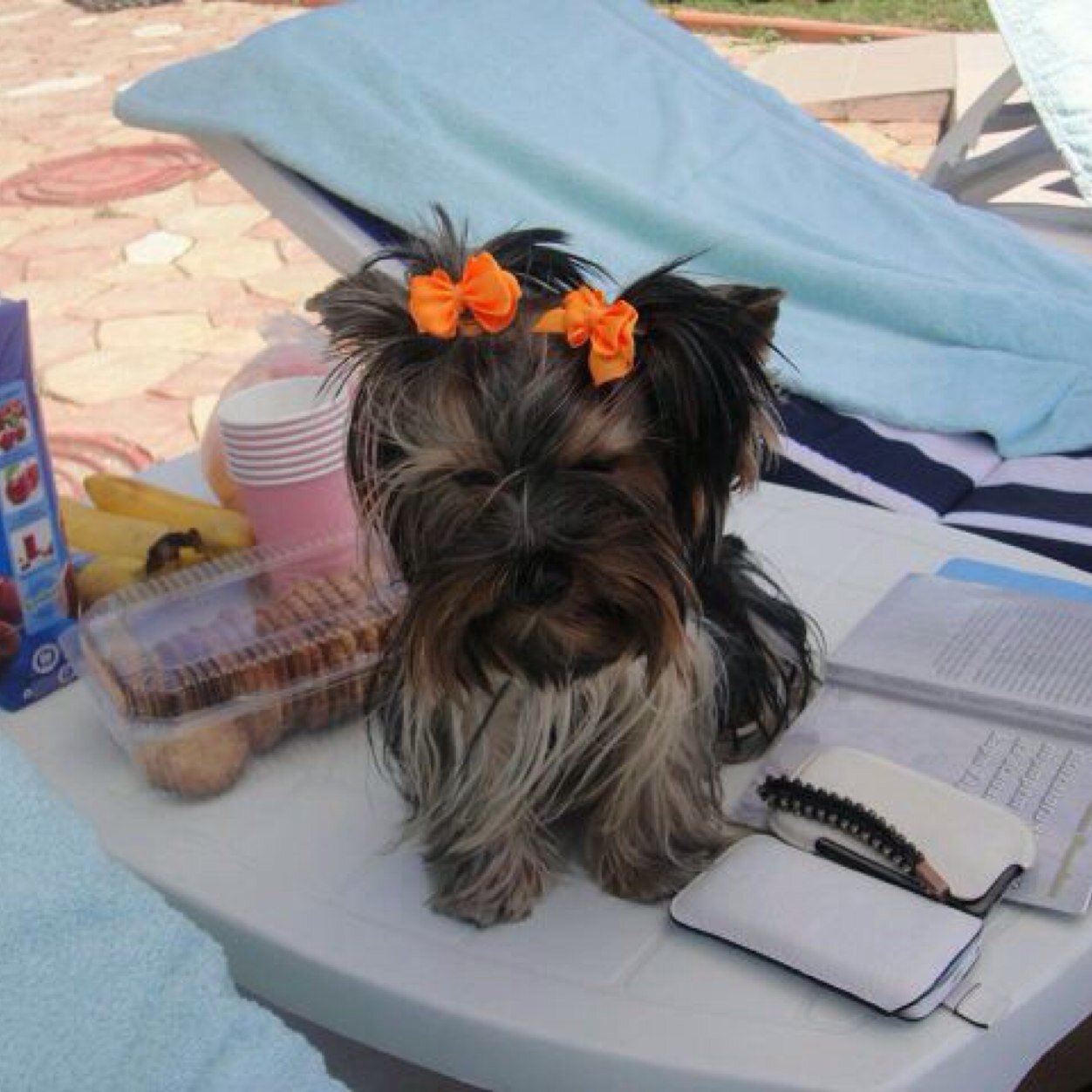 katusa555's profile picture. Люблю черный цвет . Всякие блатные прически и браслеты с шыпами. У меня есть баксерская собака и чясный дом. Моя мама делает кукал они как жывые название Рэборн