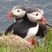Allan Todman (@kernowfish11) Twitter profile photo Allan Todman (@kernowfish11) Twitter profile photo