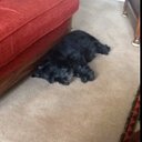 Douglas Stuart - @DouglasStuart1 - Twitter