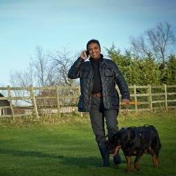 Dog mobility and support harness to help with cruciate ligament, hip dysplasia, spinal, arthritis, limping, old age etc - call from UK - 01923850317