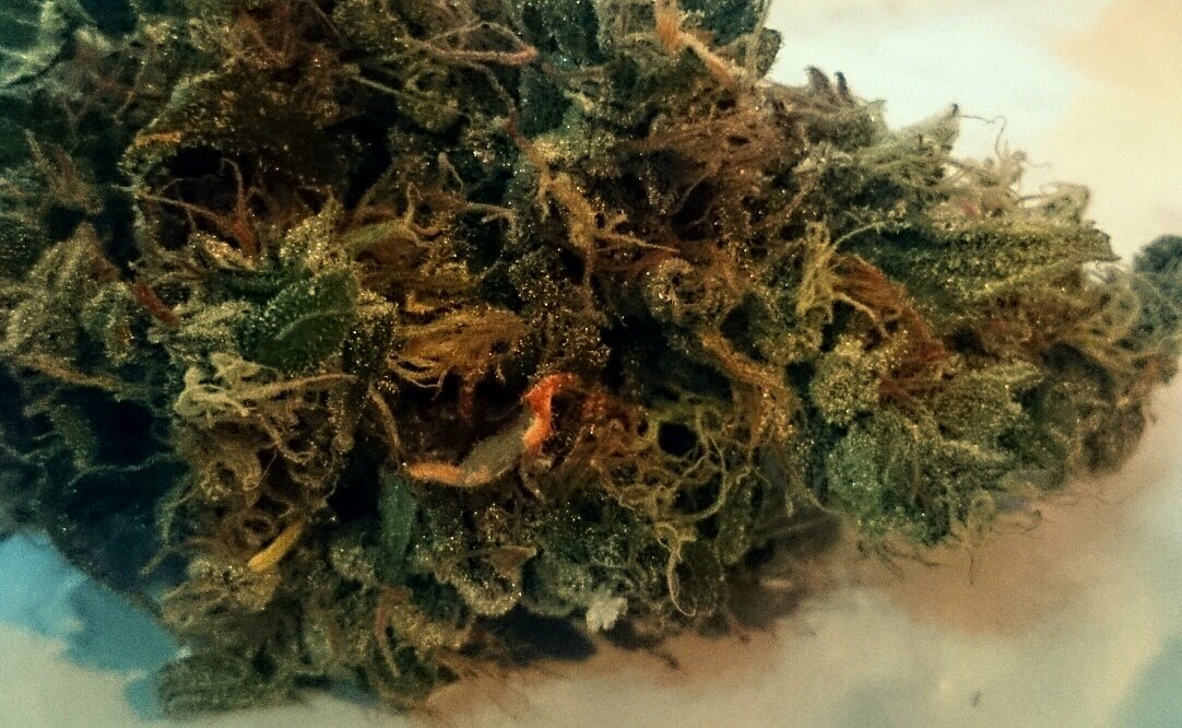 SmokinDoobie's profile picture. vaping and growing some of the finest weed on mother earth