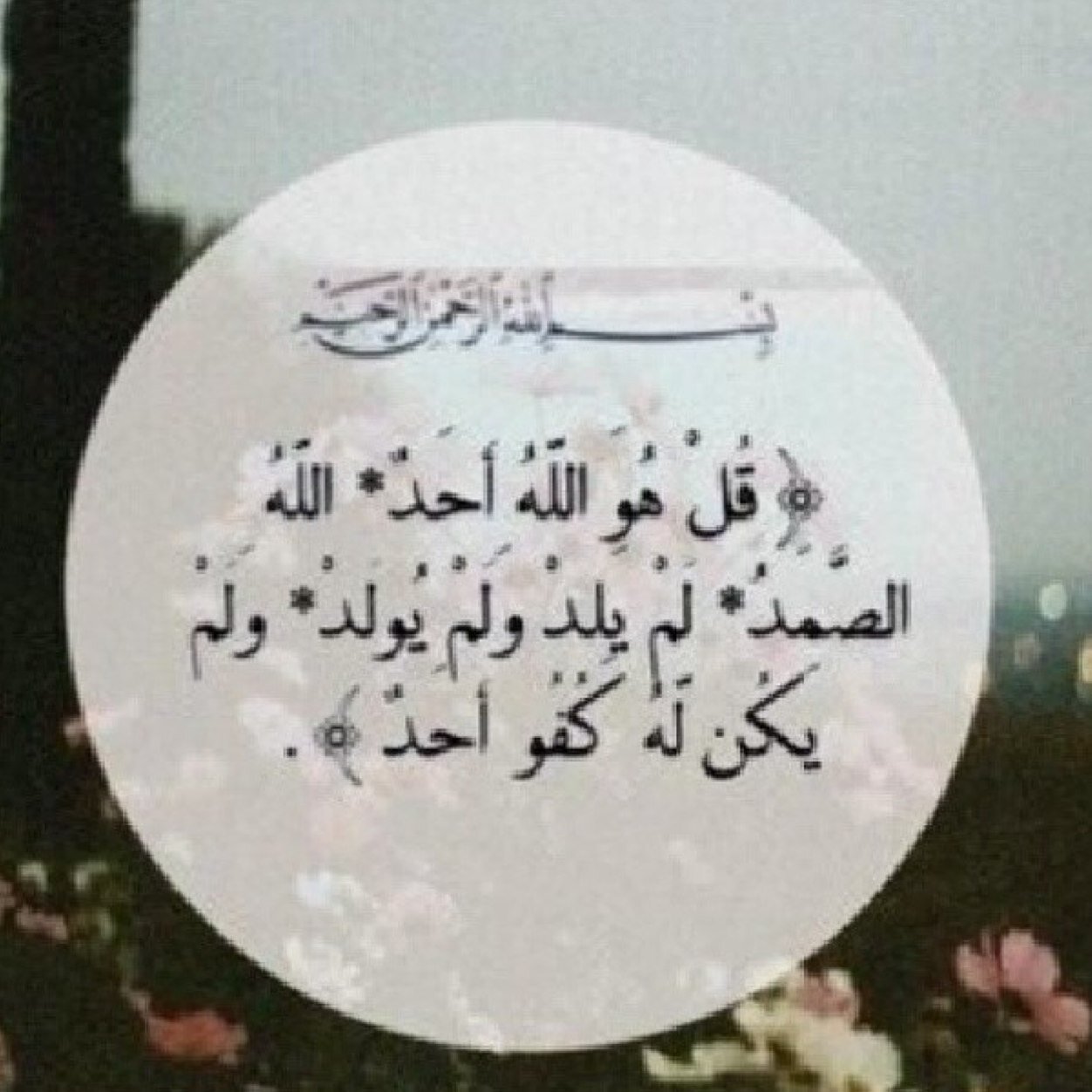 اللهـم إني أسألك الأجر والثواب يارب العالمين - اللهم صل على سيدنا محمد -متابعتگ شرف لنا-الريتويت لمن إستحقه-گل الأشخاص يبدأون من نقطة الصفر فلا تيأس