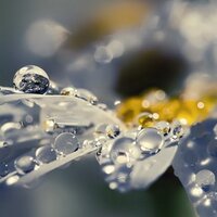 fatmabeyza karademir (@beyzafatmabeyza) Twitter profile photo