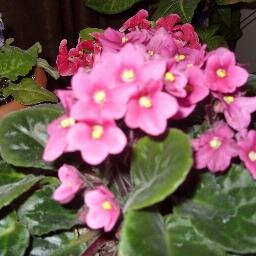 fahriyekoglu's profile picture. 