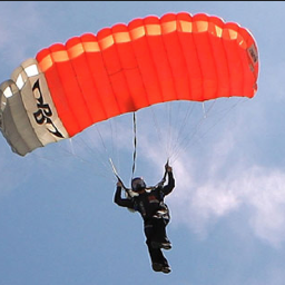 SkyDiverEQ's profile picture. 