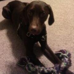 EERussell51's profile picture. T-Mobile Senior Manager of Social Analytics and Reporting. Opinions here are my own. Reader, Writer, Runner, and music lover.